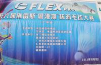 發(fā)揚體育拼搏精神，更快更高更強——匯泰龍大力贊助“粵港澳”杯羽毛球大賽